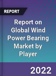 Report on Global Wind Power Bearing Market by Player