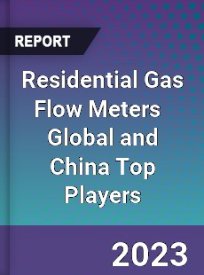 Residential Gas Flow Meters Global and China Top Players Market