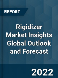 Rigidizer Market Insights Global Outlook and Forecast