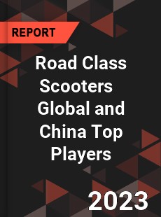Road Class Scooters Global and China Top Players Market