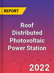 Roof Distributed Photovoltaic Power Station Market
