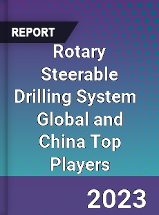 Rotary Steerable Drilling System Global and China Top Players Market
