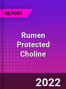Rumen Protected Choline Market