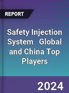 Safety Injection System Global and China Top Players Market