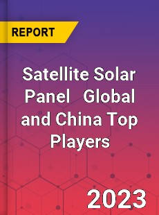 Satellite Solar Panel Global and China Top Players Market