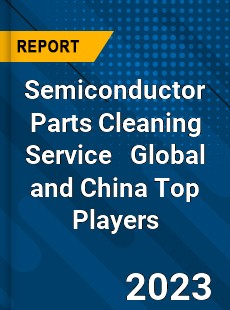 Semiconductor Parts Cleaning Service Global and China Top Players Market