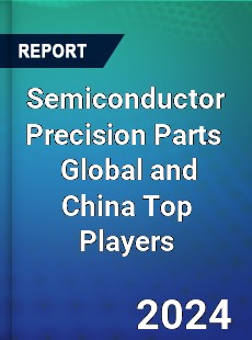 Semiconductor Precision Parts Global and China Top Players Market