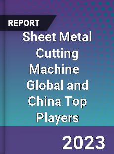 Sheet Metal Cutting Machine Global and China Top Players Market