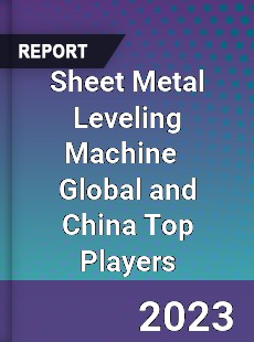 Sheet Metal Leveling Machine Global and China Top Players Market