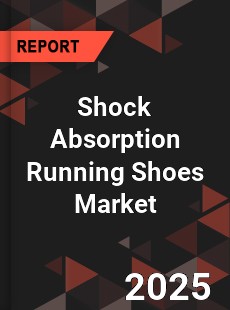 Shock Absorption Running Shoes Market