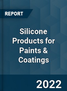 Silicone Products for Paints & Coatings Market