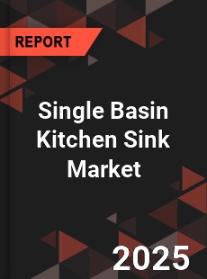 Single Basin Kitchen Sink Global and China Top Players Market
