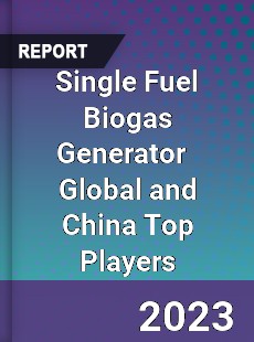 Single Fuel Biogas Generator Global and China Top Players Market