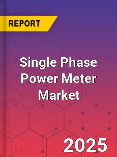 Single Phase Power Meter Global and China Top Players Market