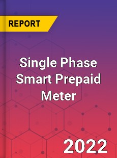 Single Phase Smart Prepaid Meter Market