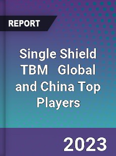 Single Shield TBM Global and China Top Players Market