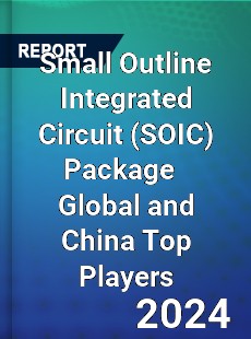 Small Outline Integrated Circuit Package Global and China Top Players Market