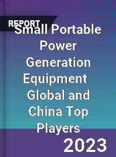 Small Portable Power Generation Equipment Global and China Top Players Market