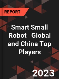 Smart Small Robot Global and China Top Players Market