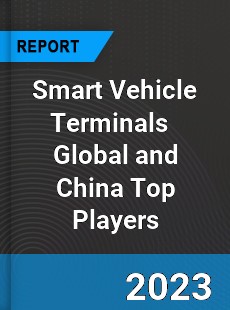 Smart Vehicle Terminals Global and China Top Players Market