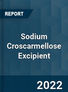 Sodium Croscarmellose Excipient Market