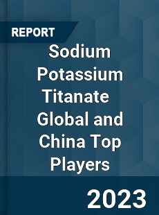 Sodium Potassium Titanate Global and China Top Players Market