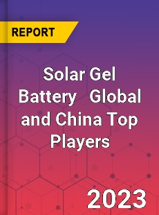 Solar Gel Battery Global and China Top Players Market