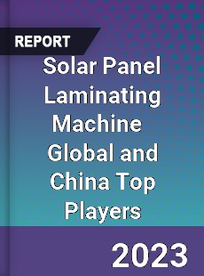 Solar Panel Laminating Machine Global and China Top Players Market