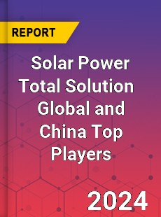 Solar Power Total Solution Global and China Top Players Market