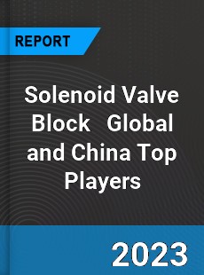 Solenoid Valve Block Global and China Top Players Market