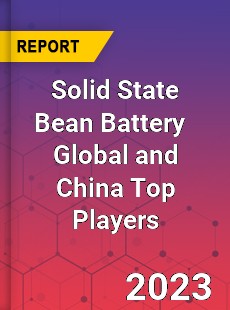 Solid State Bean Battery Global and China Top Players Market