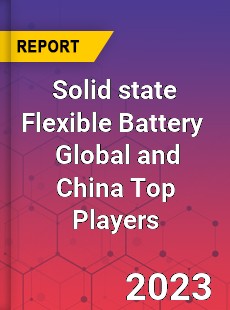 Solid state Flexible Battery Global and China Top Players Market