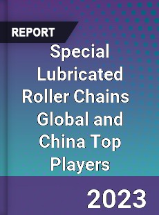 Special Lubricated Roller Chains Global and China Top Players Market
