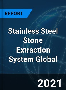 Stainless Steel Stone Extraction System Market