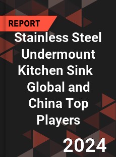 Stainless Steel Undermount Kitchen Sink Global and China Top Players Market