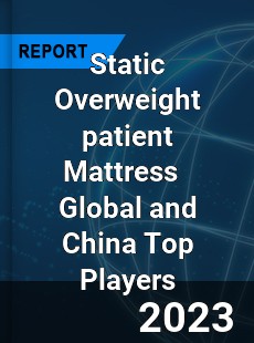 Static Overweight patient Mattress Global and China Top Players Market