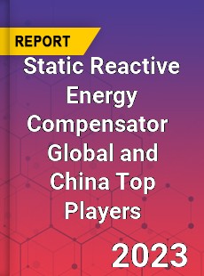 Static Reactive Energy Compensator Global and China Top Players Market