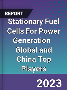 Stationary Fuel Cells For Power Generation Global and China Top Players Market