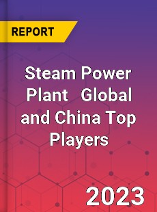 Steam Power Plant Global and China Top Players Market