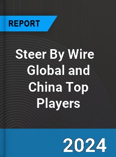 Steer By Wire Global and China Top Players Market