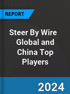 Steer By Wire Global and China Top Players Market