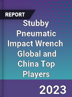 Stubby Pneumatic Impact Wrench Global and China Top Players Market