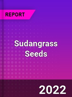 Sudangrass Seeds Market
