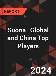 Suona Global and China Top Players Market