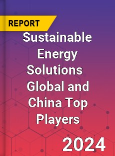 Sustainable Energy Solutions Global and China Top Players Market