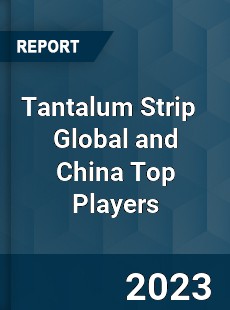 Tantalum Strip Global and China Top Players Market