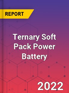 Ternary Soft Pack Power Battery Market