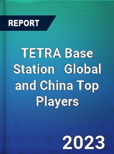 TETRA Base Station Global and China Top Players Market
