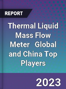 Thermal Liquid Mass Flow Meter Global and China Top Players Market