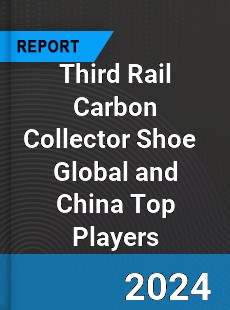 Third Rail Carbon Collector Shoe Global and China Top Players Market